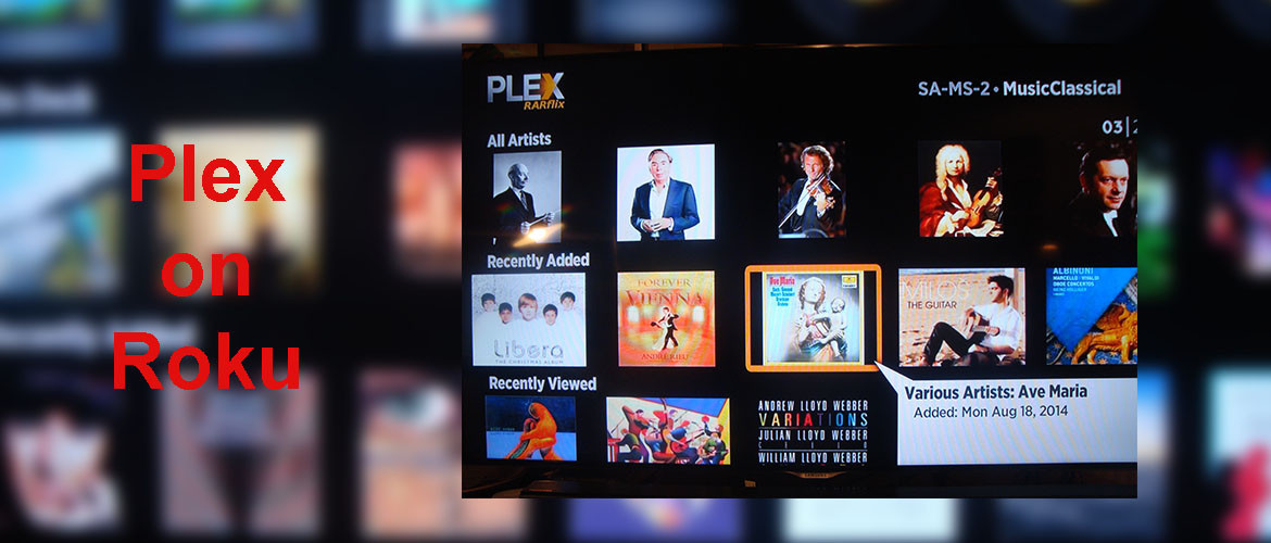 Plex on Roku - RARflix